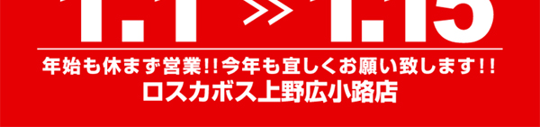 _[co[ XJ{XyX|[co[E}E񎟉ERzLHXnbs[A[